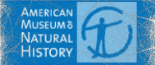 American Museum of Natural History